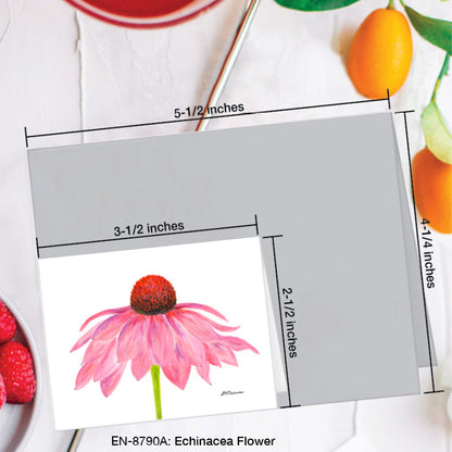 Echinacea Flower, Greeting Card (8790A), Enclosure Card, www.printedcanvas.com