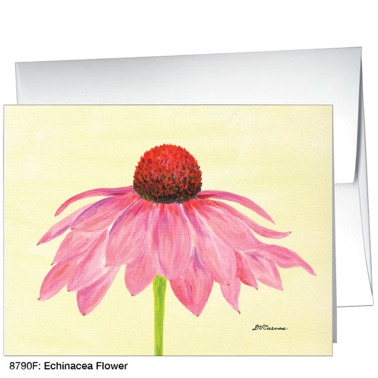Echinacea Flower, Greeting Card (8790F), A2, printedcanvas.com