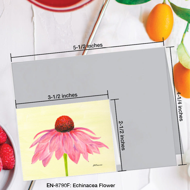 Echinacea Flower, Greeting Card (8790F), Enclosure Card, www.printedcanvas.com