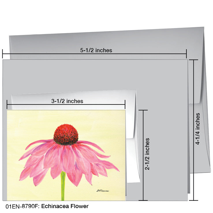Echinacea Flower, Greeting Card (8790F), Enclosure Card, www.printedcanvas.com