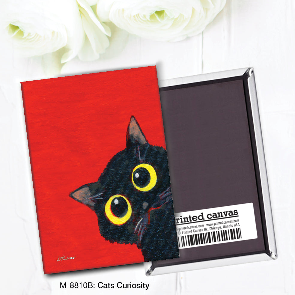 Cats Curiosity, Magnet (M-8810B)