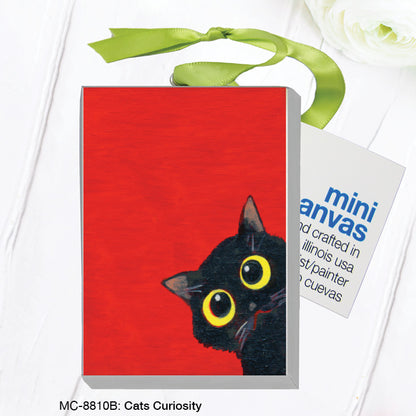 Cats Curiosity, Mini Canvas (MC-8810B)