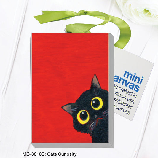 Cats Curiosity, Mini Canvas (MC-8810B)