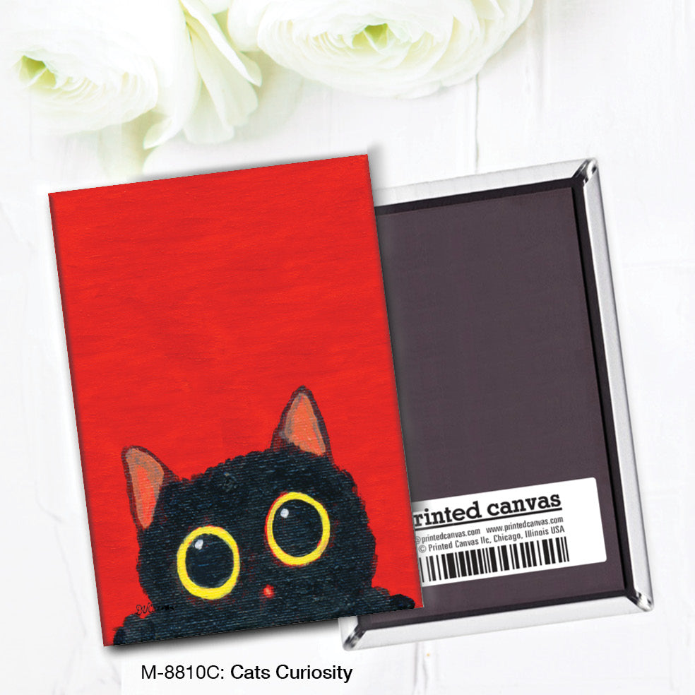 Cats Curiosity, Magnet (M-8810C)