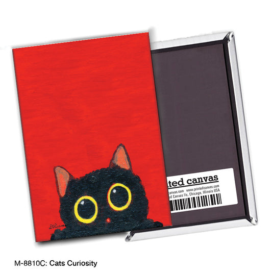 Cats Curiosity, Magnet (M-8810C)