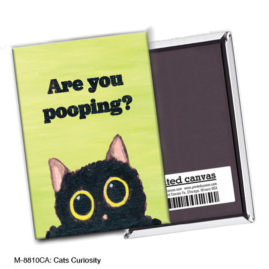 Cats Curiosity, Magnet (M-8810CA), Front, printedcanvas.com