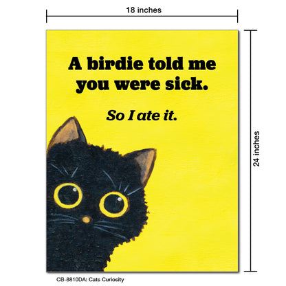 Cats Curiosity, Card Board (8810DA)