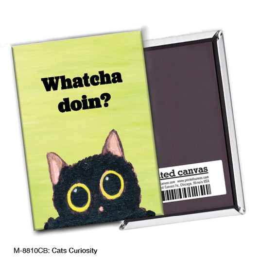 Cats Curiosity, Magnet (M-8810CB), front, printedcanvas.com