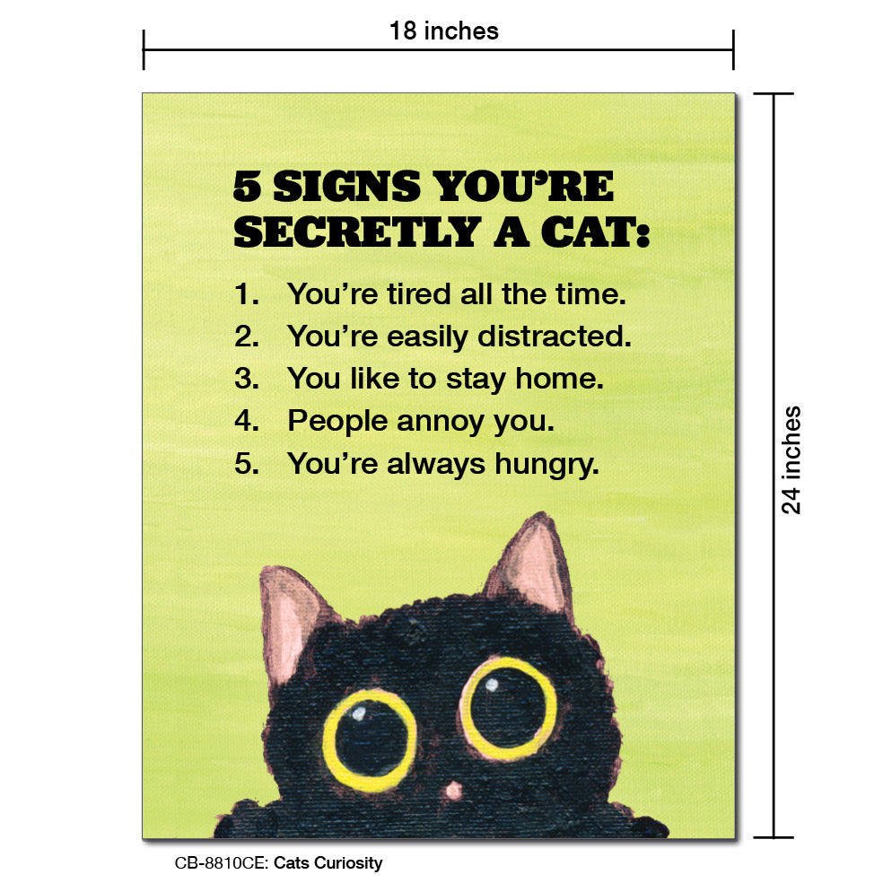 Cats Curiosity, Card Board (8810CE)