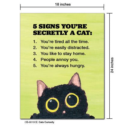 Cats Curiosity, Card Board (8810CE)
