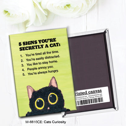Cats Curiosity, Magnet (M-8810CE)