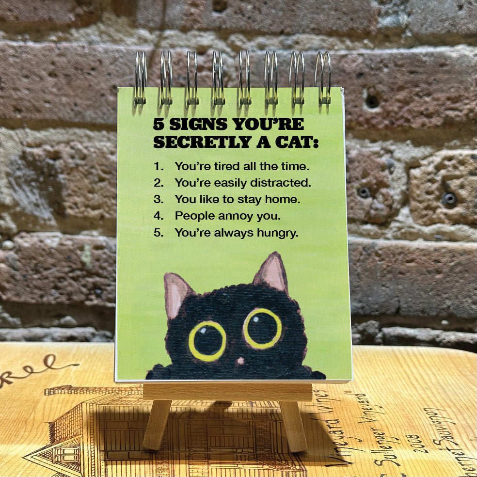 Cats Curiosity, Scratch Pad (SP-8810CE)