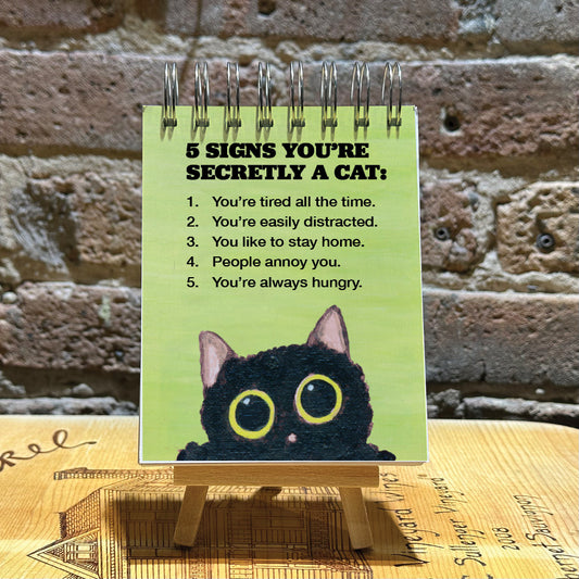 Cats Curiosity, Scratch Pad (SP-8810CE)