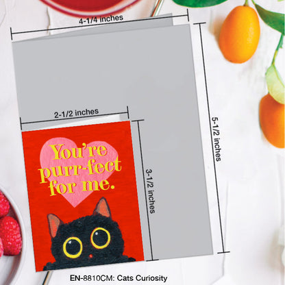 Cats Curiosity, Greeting Card (#8810CM)