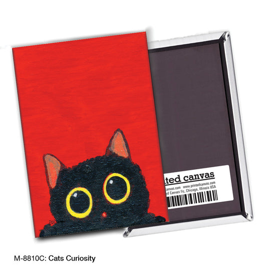 Cats Curiosity, Magnet (M-8810C)