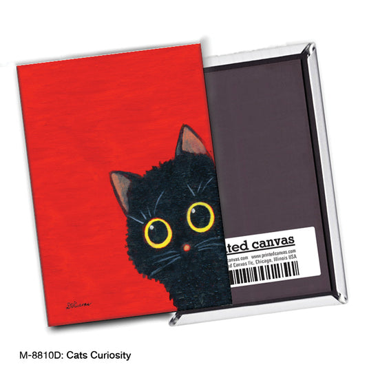 Cats Curiosity, Magnet (M-8810D)