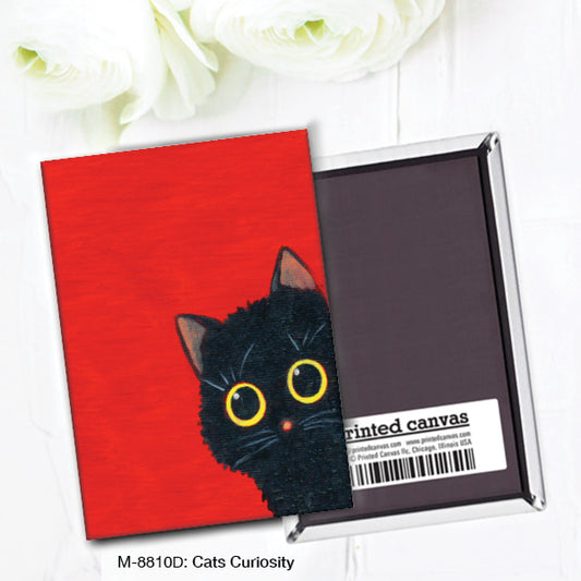 Cats Curiosity, Magnet (M-8810D), Front, printedcanvas.com