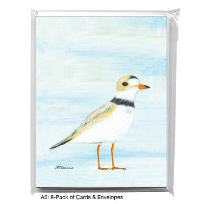 Piping Plover, Greeting Card (8814B), A2 8-Pack, printedcanvas.com