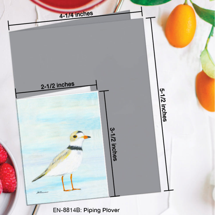 Piping Plover, Greeting Card (8814B), Enclosure Card, www.printedcanvas.com
