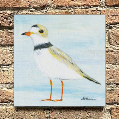 Piping Plover, Original