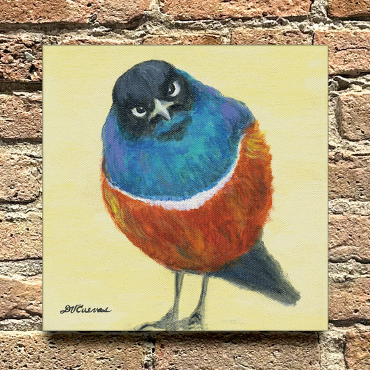 Superb Starling Bird, Original