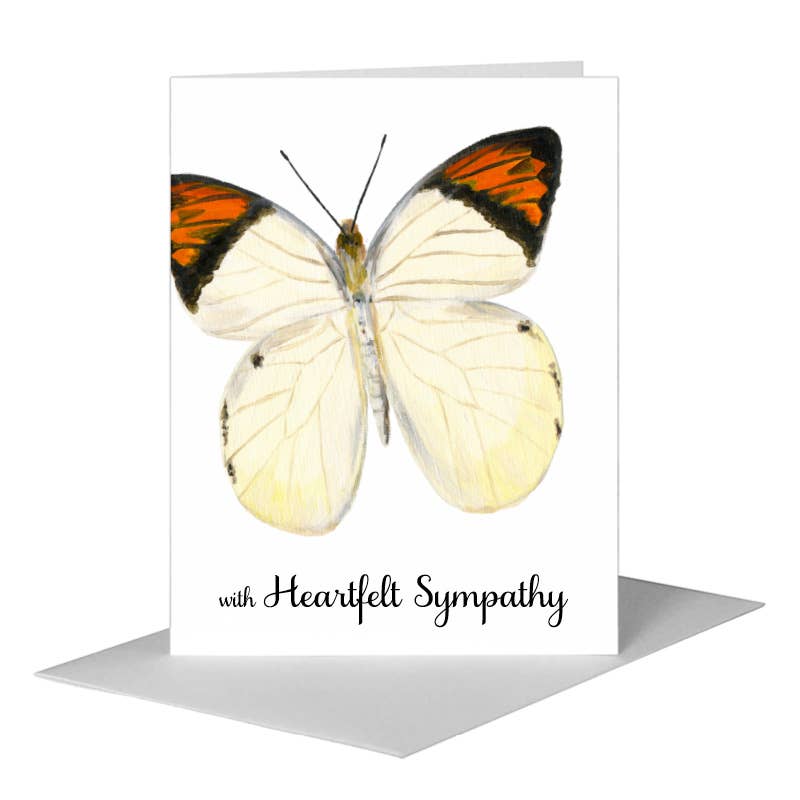Hebomoia Glaucippe Felderi Butterfly, Greeting Card (#7770A) A2 Card Front, www.printedcanvas.com