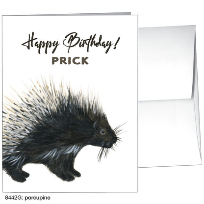Porcupine, Greeting Card (8442G), A2 Card, printedcanvas.com