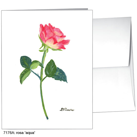Rosa 'Aqua', Greeting Card (7176A), A2 Card Front, www.printedcanvas.com