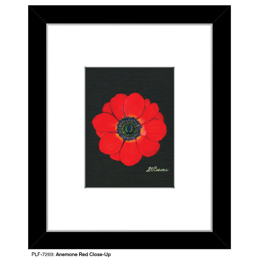 Anemone Red Close-Up, Print (#7269) - Printed Canvas