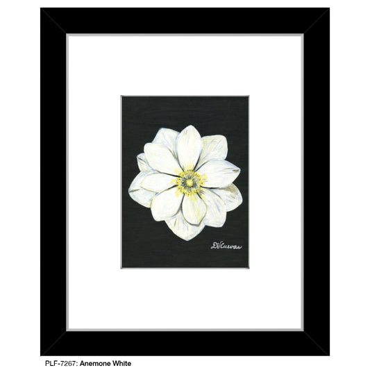 Anemone White, Print (#7267) - Printed Canvas