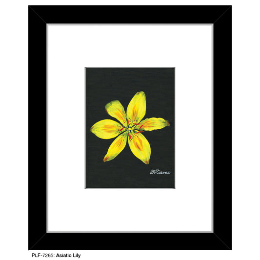 Asiatic Lily, Print (#7265) - Printed Canvas
