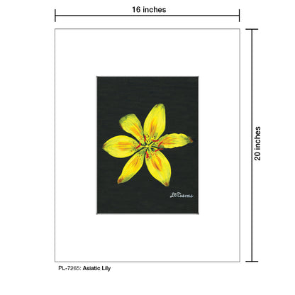 Asiatic Lily, Print (#7265)
