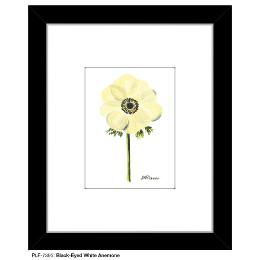 Black-Eyed White Anemone, Print (#7395) - Printed Canvas