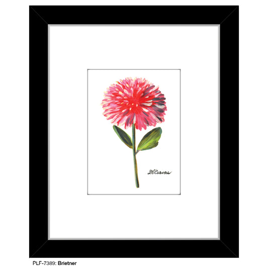 Brietner, Print (#7389) - Printed Canvas