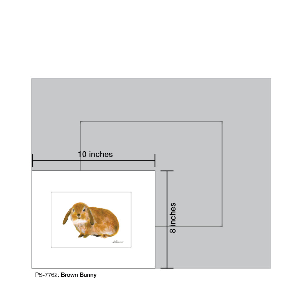 Brown Bunny, Print (#7762) - Printed Canvas
