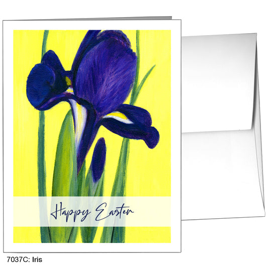 Iris, Greeting Card (7037C), A2, printedcanvas.com