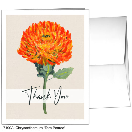 Chrysanthemum 'Tom Pearce', Greeting Card (7190A), A2, printedcanvas.com