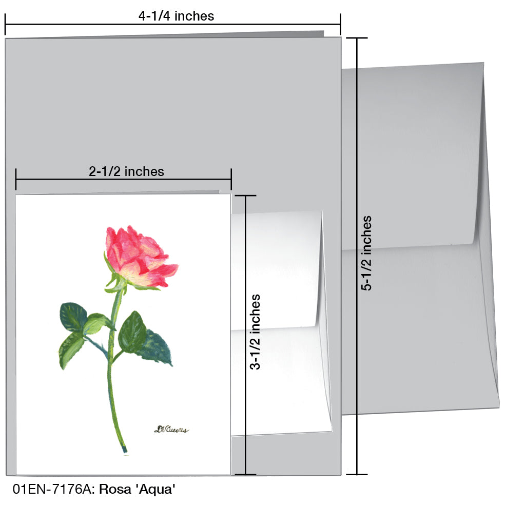 Rosa 'Aqua', Greeting Card (7176A), Enclosure Card, www.printedcanvas.com