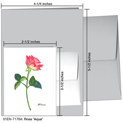 Rosa 'Aqua', Greeting Card (7176A), Enclosure Card, www.printedcanvas.com