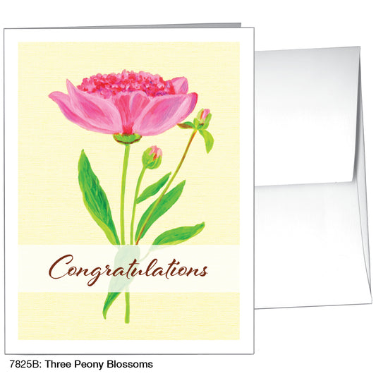 Three Peony Blossoms, Greeting Card (7825B), A2, printedcanvas.com
