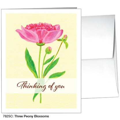 Three Peony Blossoms, Greeting Card (7825C), A2, printedcanvas.com