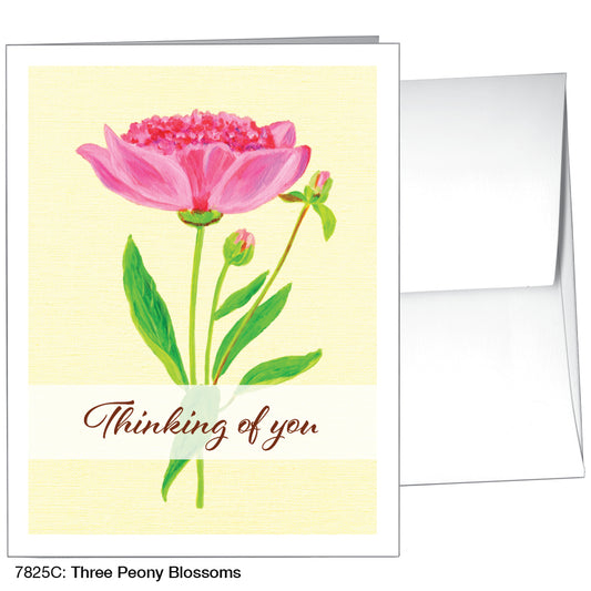 Three Peony Blossoms, Greeting Card (7825C), A2, printedcanvas.com