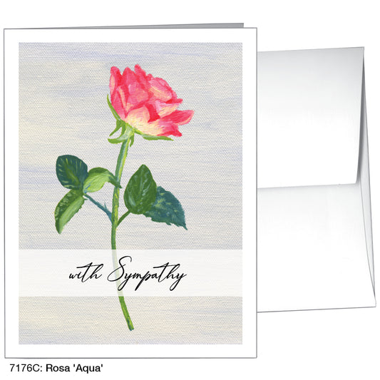 Rosa 'Aqua', Greeting Card (7176C), A2 Card Front, www.printedcanvas.com