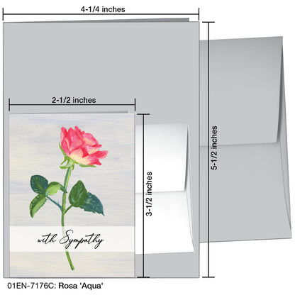 Rosa 'Aqua', Greeting Card (7176C), Enclosure Card, www.printedcanvas.com