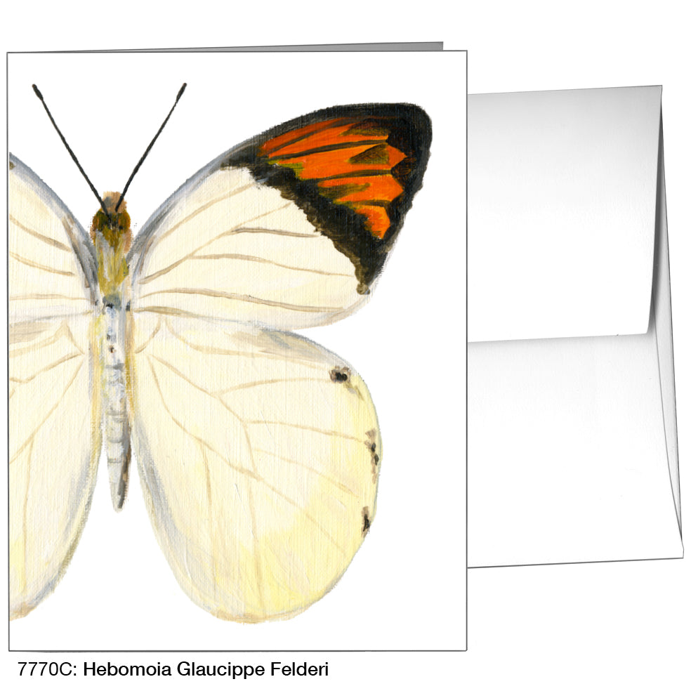 Hebomoia Glaucippe Felderi, Greeting Card (7770C), A2, printedcanvas.com
