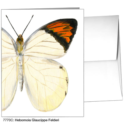 Hebomoia Glaucippe Felderi, Greeting Card (7770C), A2, printedcanvas.com