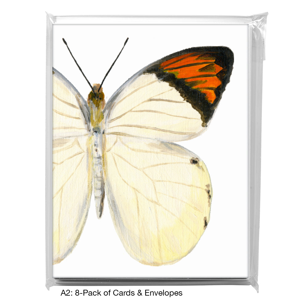 Hebomoia Glaucippe Felderi, Greeting Card (7770C), A2 8-Pack, printedcanvas.com