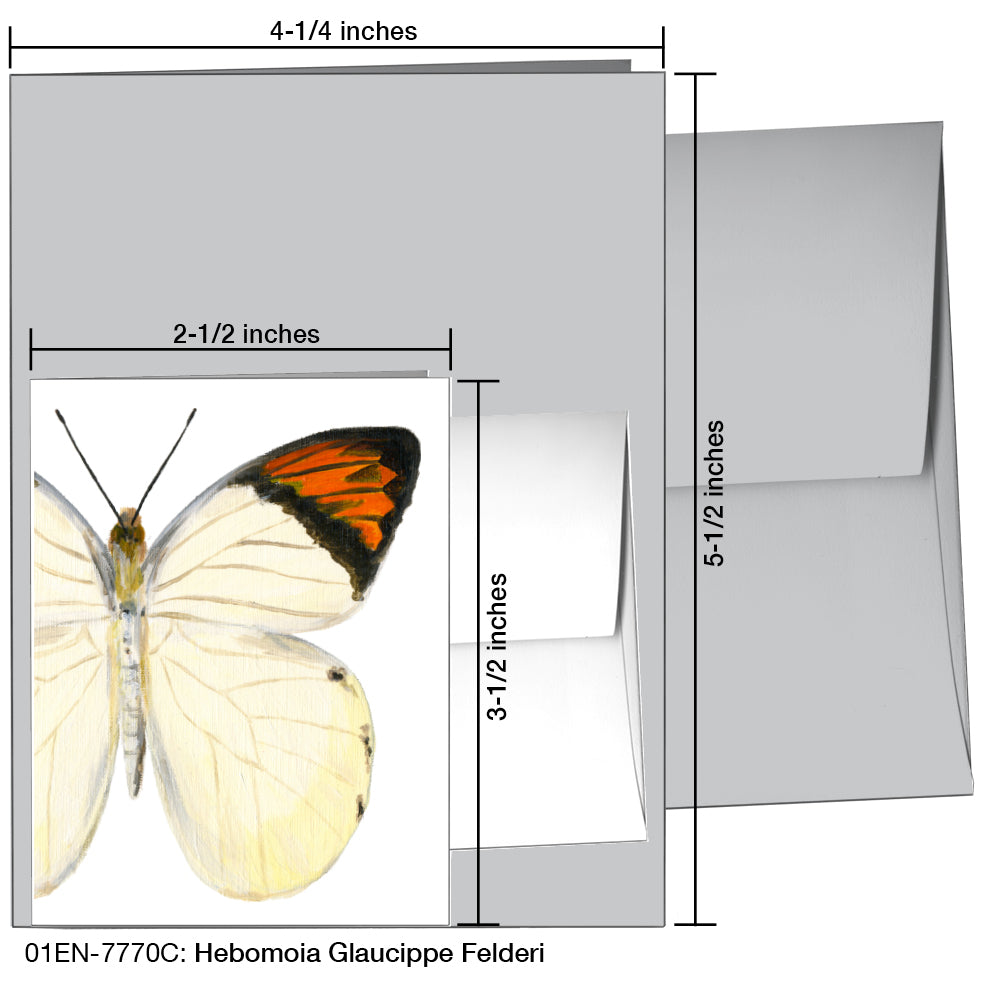 Hebomoia Glaucippe Felderi, Greeting Card (7770C), Enclosure, printedcanvas.com