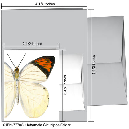 Hebomoia Glaucippe Felderi, Greeting Card (7770C), Enclosure, printedcanvas.com