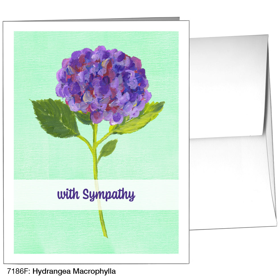 Hydrangea Macrophylla, Greeting Card (7186F), A2 Card, printedcanvas.com